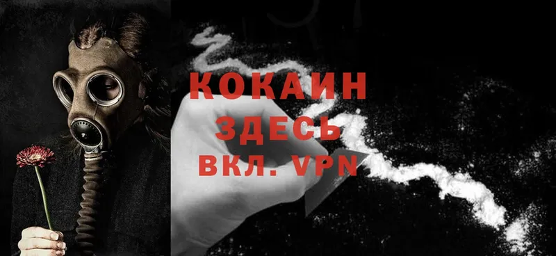 COCAIN Эквадор  Камышлов 